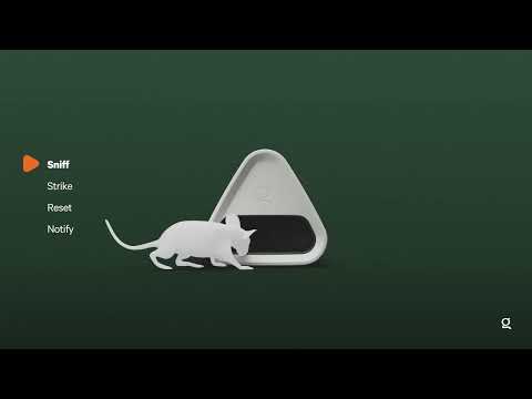 Goodnature Mouse Trap - How It Works