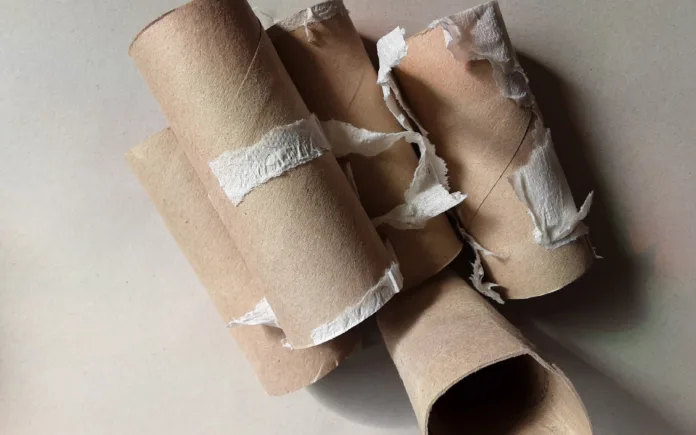 Five used toiletpaper rolls with some paper leftovers.