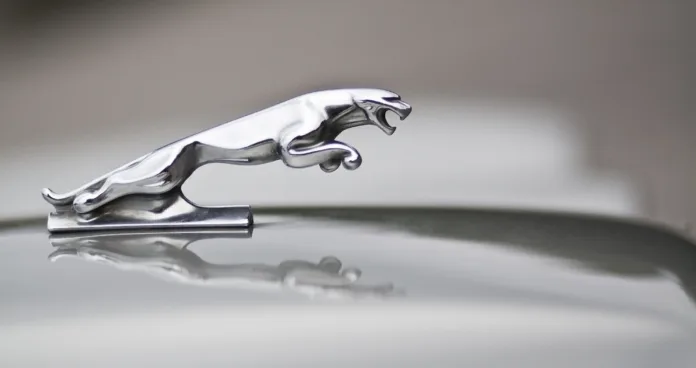 Gorizia, Italy - June 3, 2012: recognisable leaping cat bonnet ornament on a classic jaguar car.