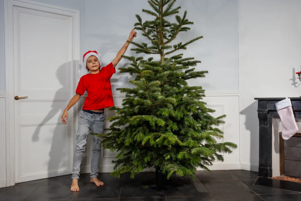 A young boy in a red shirt and Santa hat stands barefoot, reaching up to the top of a freshly decorated Christmas tree